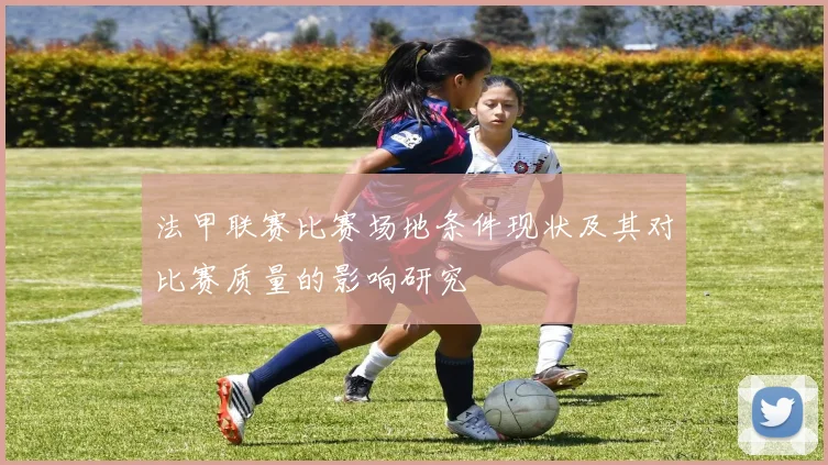 法甲联赛比赛场地条件现状及其对比赛质量的影响研究
