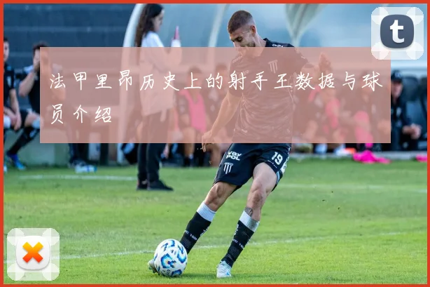 法甲里昂历史上的射手王数据与球员介绍